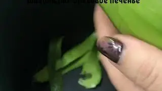 Печенье Гербалайф