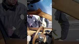 Конь с автоматом на посту ГАИ