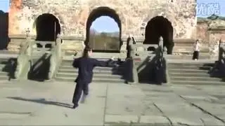 Wudang Zhi-Wu Spear