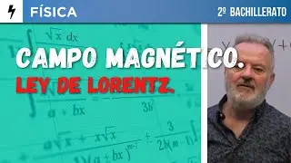 SELECTIVIDAD FÍSICA  CAMPO MAGNÉTICO.  LEY DE LORENTZ.