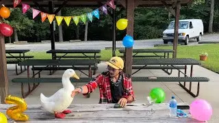 Wrinkle the Duck’s 2nd Birthday Party