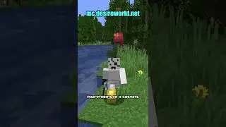 я самый лучший сосед...