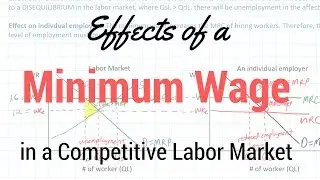 Minimum Wages in Competitive Labor Markets
