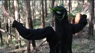 ENSAIO FOTOGRÁFICO NA FLORESTA