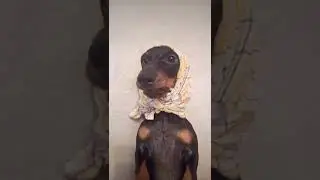 Зовут меня Настей