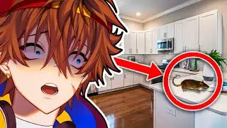 I Rated My Viewers Kitchens...