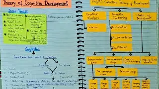 Jean Piaget's Theory of Cognitive Development | Childhood and Growing Up - Paper 1 | B.Ed. Notes