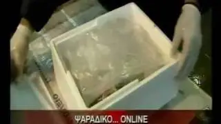 Ρεπορτάζ του STAR TV & star.gr για το Ψαράδικο.νετ