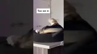 когда шалят нервишки 😂