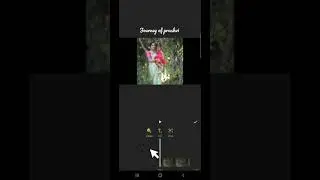 How To Blur Photo / Video using InShot App  