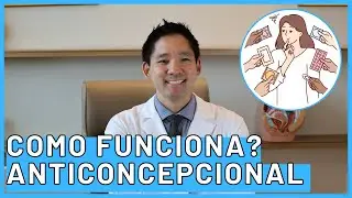 Como Funciona a Pílula Anticoncepcional? | Guia Completo