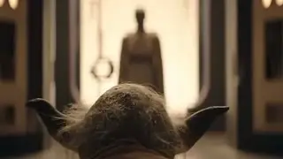 A jedi catches yoda at a bad time