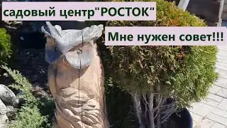 Поездка в садовый центр 