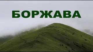 Карпати. Боржава. Похід через всю полонину Боржава з дитиною, 53км.  Міжгір'я - Воловець. РЛС Стій