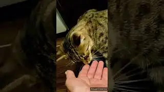 Я ЕГО ЗА ЛЮБЛЮ 💜💚❤😘