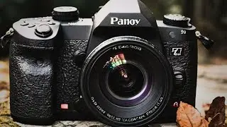 TOP 10 BEST CAMERAS FOR PHOTOGRAPHY 2024