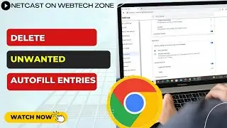How to Clear Autofill on Chrome | How to Delete Unwanted Autofill Entries?