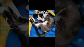 Me cambian el nombre cada semana