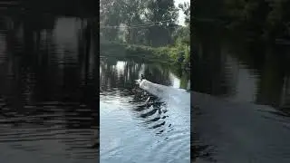 Вейкбординг