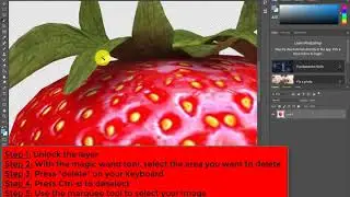 Photoshop Magic Wand Tool