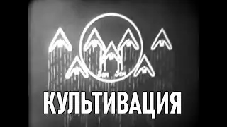 Cultivation