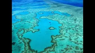 Reef Depositional Systems