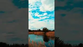 Amazing !