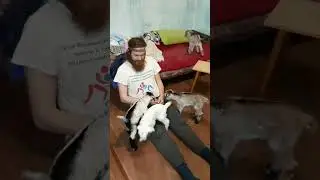 Глава семейства