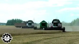 Комбайны Акрос и John Deere. Уборочная-2023 в Елецком районе. Финал уборки зерновых в ООО "ЕАК"