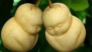 Todos los comentarios de este video les contestare WEY CLARO QUE SI