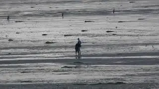 10 08 2018 Куксхафен  Северное море