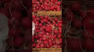Редиска.Цена.Скидка 9%.Магазин Сильпо