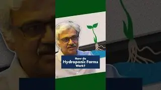 How do Hydroponic Farms Work? | Across Indiana