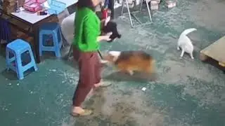 Don’t be a bully