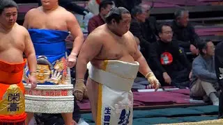 【東京】大相撲一月場所　七日目　二子山部屋【20250118】 2025 January Grand Sumo Tournament:Day 7 Futagoyama Stable