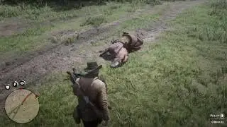 RDR2 - When You Accidentally Punch Your Horse...
