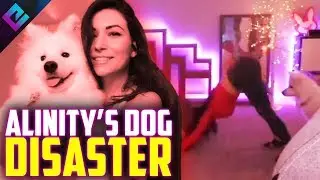 Alinity Has a Way with Dogs and Twitch