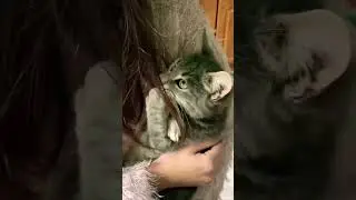 #chill