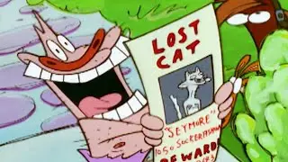 O Show do Cartoon Cartoon - O Gato Vira-Lata (Dublado) 2000 | Cartoon Network - A Vaca e o Frango