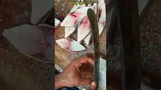Fresh BLACK POMFRET FISH SLICE CUTTING / Fish Cutting Technique / Fish Cutting Videos / CT 360*🔪