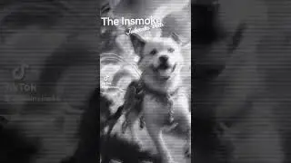 The Insmoke - Jakarta Dub