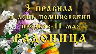 3 правила на 