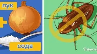 Пиёз Ва Сода Оркали Тараканларда 1 Минутда Халос Булиш