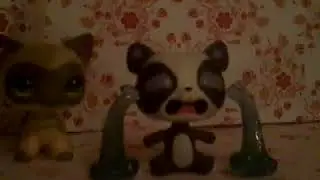 ТОП 5 САМЫХ НЕОБЫЧНЫХ LPS В МОЕЙ КОЛЛЕКЦИИ ПО МОЕМУ МНЕНИЮ!