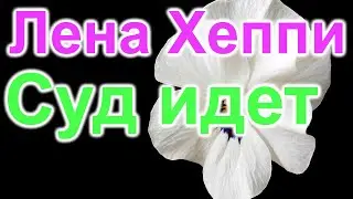 Лена Хеппи. Хитрит. Суд идет