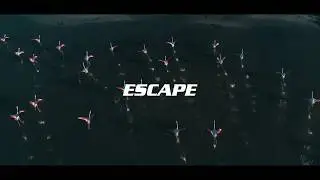 Peter Lynn Kiteboarding Escape V7