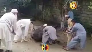 چٹ پٹی قصاب 😜🤣 || عید قربان 2022