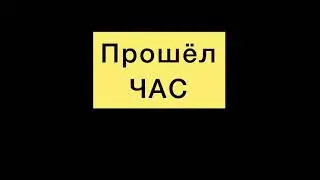 Лучшие приколы