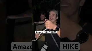 Finding SNAKES and SPIDERS at night in the Amazon!