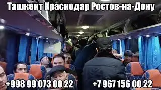 Ташкент Краснодар автобус, Ташкент Ростов-на-Дону автобус, Tashkent Krasnodar Avtobus, 